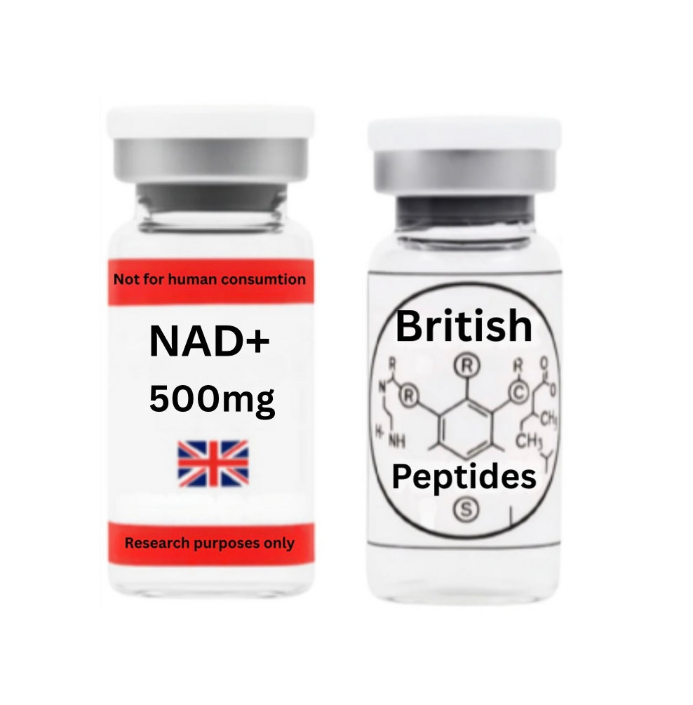 NAD+ 500mg (r&d only)